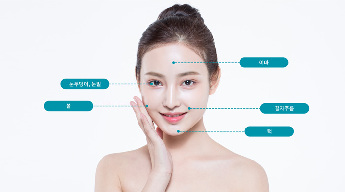 지방이식 수술부위